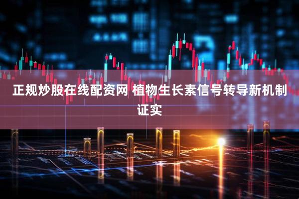 正规炒股在线配资网 植物生长素信号转导新机制证实