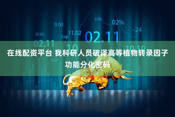 在线配资平台 我科研人员破译高等植物转录因子功能分化密码