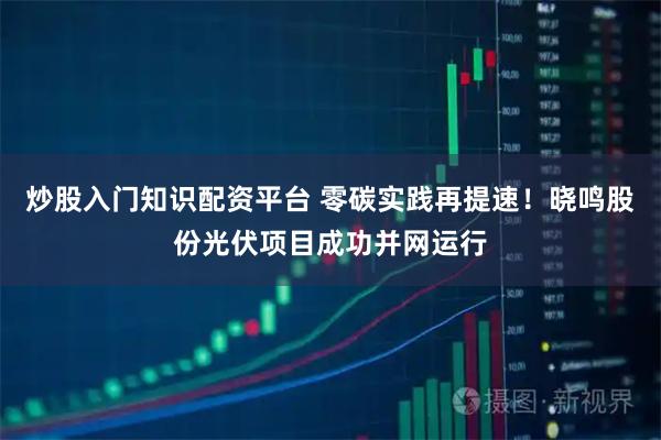 炒股入门知识配资平台 零碳实践再提速!晓鸣股份光伏项目成功并网运行